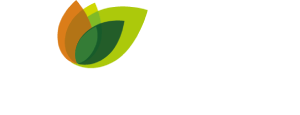 Vista Parque